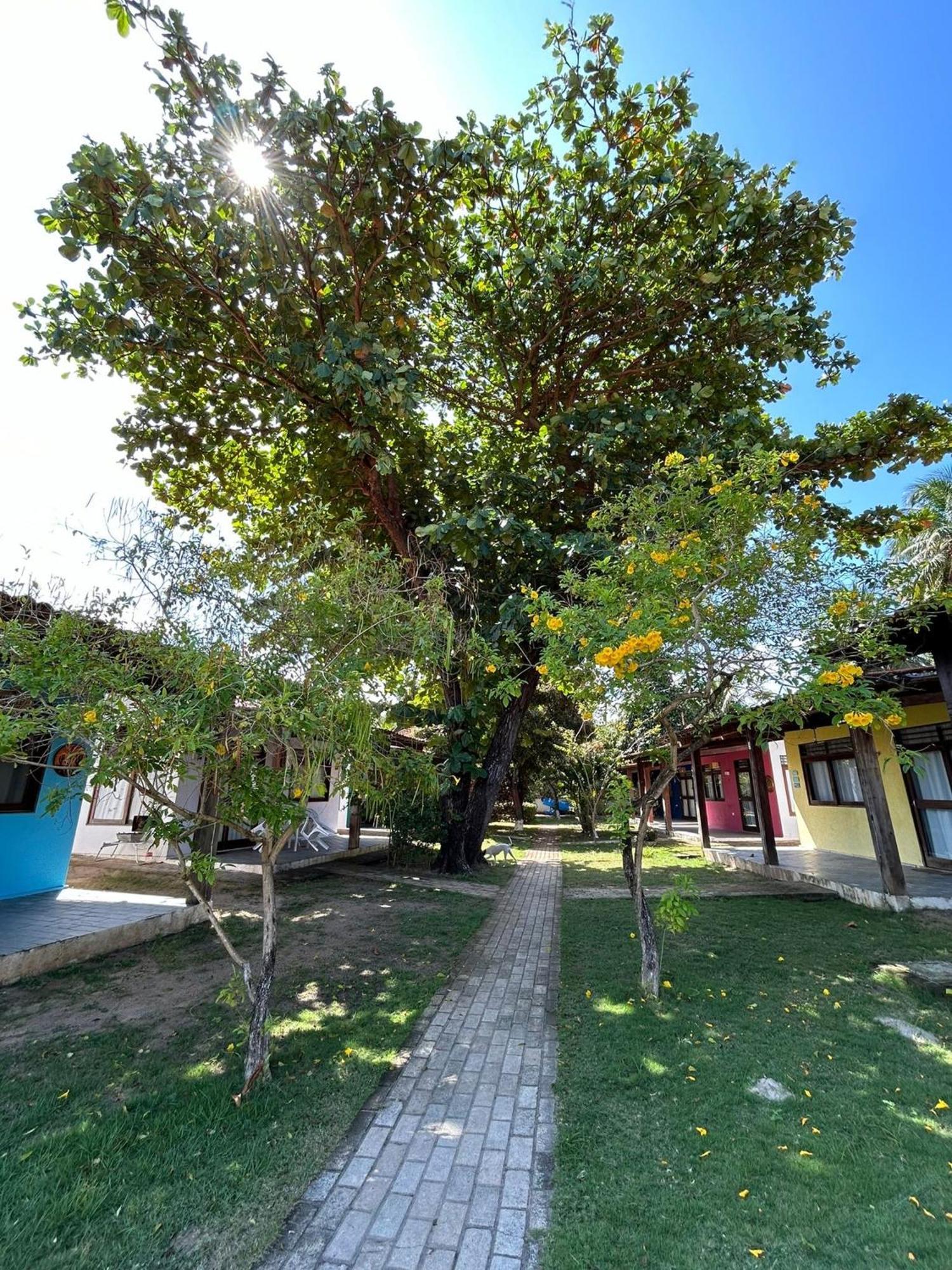 Chales Praias Brasileiras Maragogi Exteriér fotografie
